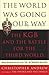 The World Was Going Our Way: The KGB & the Battle for the Third World