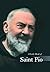 Little Book of Padre Pio