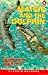 Maisie and the Dolphin (Penguin Readers: Easystarts) (Penguin Joint Venture Readers)