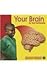 Your Brain (Bridgestone Science Library: Your Body)