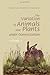 The Variation of Animals & Plants Under Domestication, Vol 1