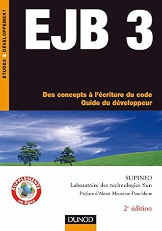 Ejb 3: Des Concepts À L'écriture Du Code, Guide Du Développeur