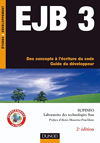Ejb 3: Des Concepts À L'écriture Du Code, Guide Du Développeur (Paperback)