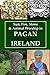 Sun, Fire, Stone & Animal Worship in Pagan Ireland