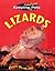 Keeping Unusual Pets: Lizards