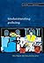 Understanding Policing