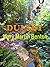Dulsey