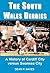 The South Wales Derbies : A History of Cardiff City Versus Swansea City