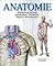 Anatomie
