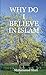 Why Do I Believe in Islam