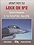 Lock On No. 2: General Dynamics F-16 Fighting Falcon