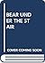 BEAR UNDER THE STAIR