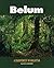 Belum: A Rainforest in Malaysia