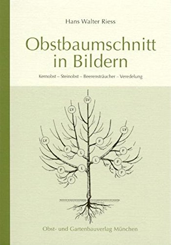 Obstbaumschnitt in Bildern. (Paperback)