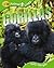 Gorillas (QED Animal Lives)