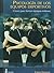 Psicologia de los equipos deportivos. claves para formar equipos exitosos (Spanish Edition)
