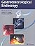 Gastroenterological Endoscopy