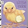Little Chick: A Soft Spot Book Little Chick: A Soft Spot Book