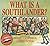 What is a Southlander?