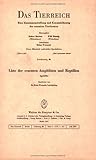 Liste der rezenten Amphibien und Reptilien: Agamidae