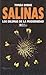 Salinas: Los dilemas de la modernidad (Spanish Edition)