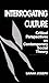 Interrogating Culture: Critical Perspectives on Contemporary Social Theory