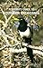 A Birder's Guide to Souther...