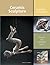 Ceramic Sculpture: Inspiring Techniques (Ceramic Arts Handbook)