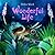 Wonderful Life