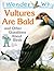 I Wonder Why Vultures Are Bald and Other Questions About Birds (I Wonder Why)