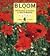 Bloom (A Channel Four Book)