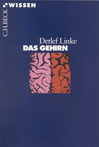 Das Gehirn (Paperback)