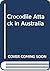 Crocodile Attack in Australia