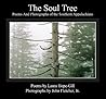 The Soul Tree: Poems and Photographs of the Southern Appalachians