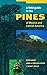Field Guide to the Pines of...