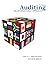 Auditing: An International Approach, Fifth Edition