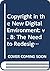 Copyright in the New Digital Environment (Perspectives on Intellectual Property)