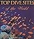 Top Dive Sites of the World