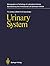 Urinary System (Monographs ...