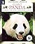 Giant Panda