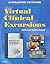 Virtual Clinical Excursions 3.0 for Medical-Surgical Nursing by Susan C. deWit