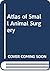 Atlas of Small Animal Surgery