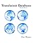 Translucent Databases: Confusion, Misdirection, Randomness, Sharing, Authentication and Steganography to Defend Privacy