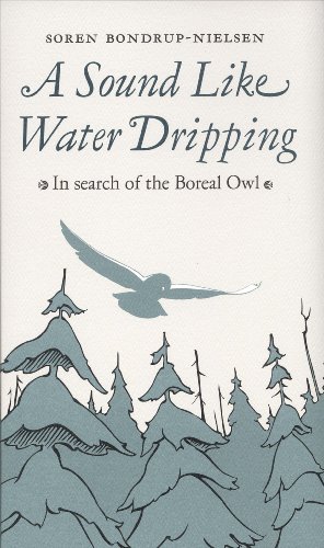 A Sound Like Water Dripping: In Search of the Boreal Owl (Paperback)