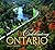 Celebrating Ontario by Jack Chiang