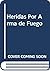 Heridas Por Arma de Fuego (Spanish Edition)