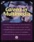 Careers in Multimedia (Vivid Media Series)