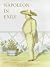 Napoleon in Exile by Martin Levy