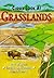 Closer Look at Grasslands