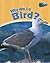 Why Am I A Bird? (Classifying Animals)